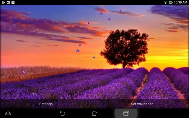 Lavender Live Wallpaper android App screenshot 1