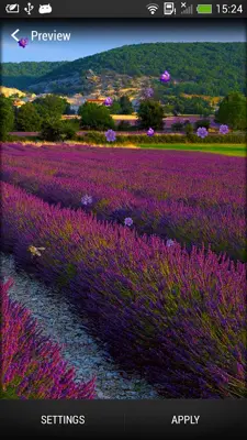 Lavender Live Wallpaper android App screenshot 3