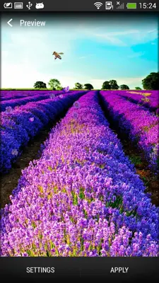 Lavender Live Wallpaper android App screenshot 4